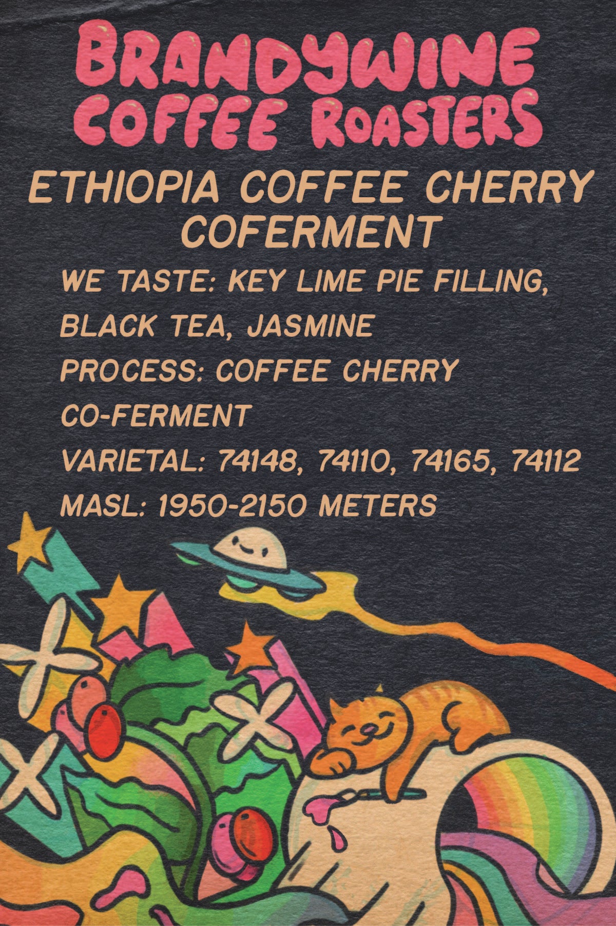 Ethiopia - Hada Molecha -  Aricha - Coffee Cherry Co-ferment