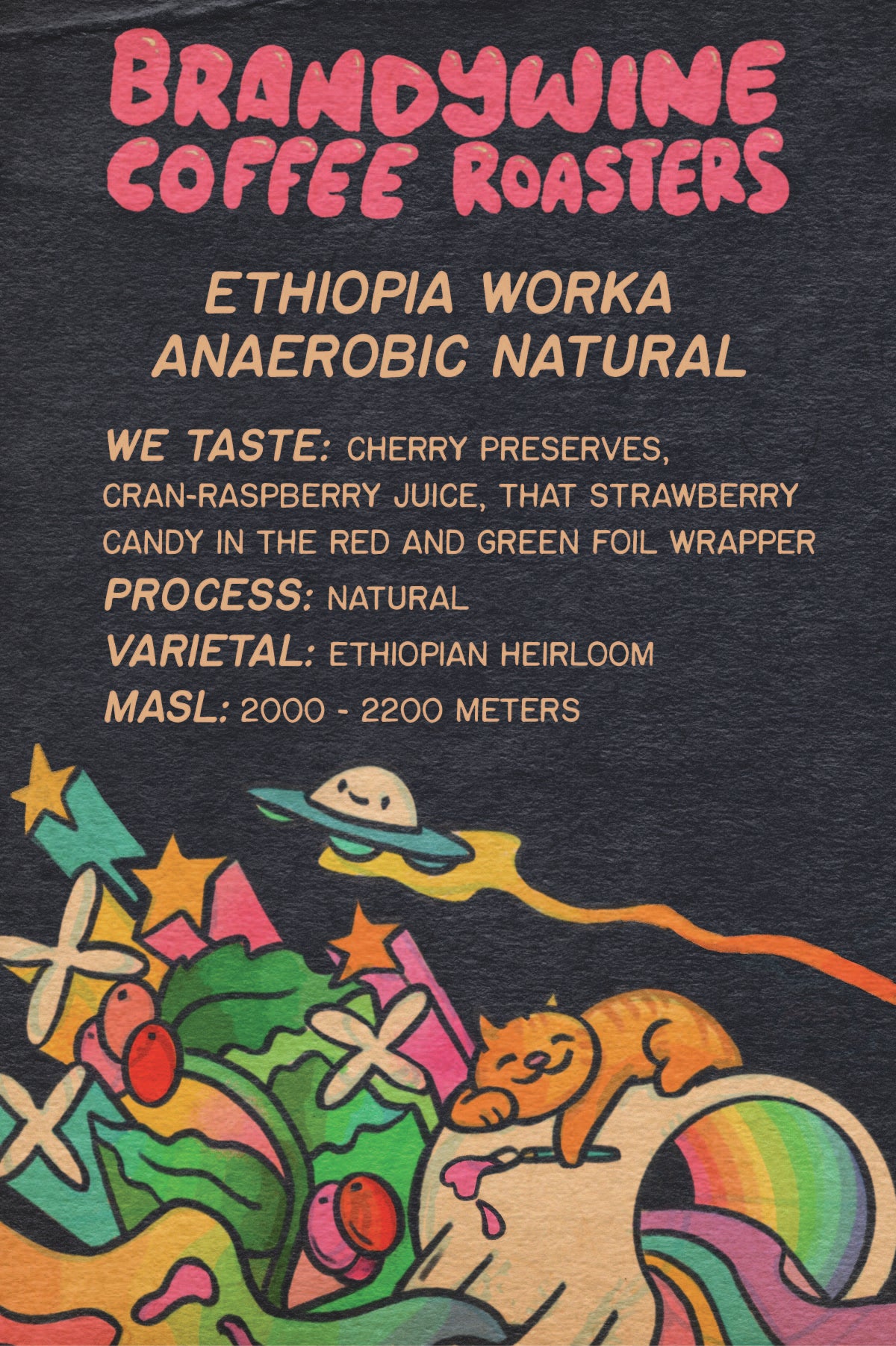 Ethiopia - Worka - Anaerobic Natural