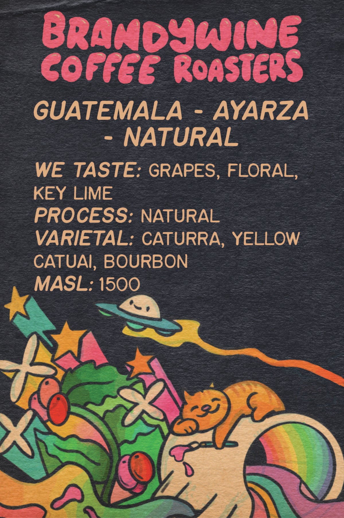 Guatemala - Ayarza - Natural