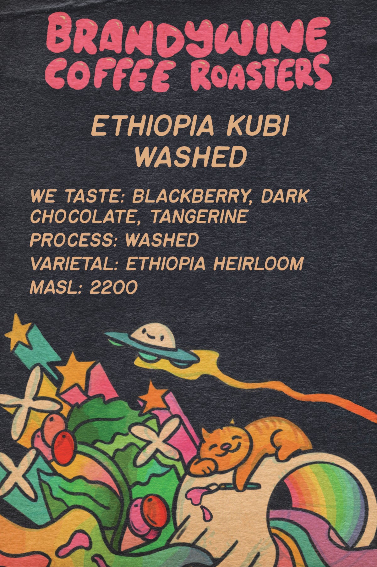 Ethiopia - Kubi - Washed - Medium Roast