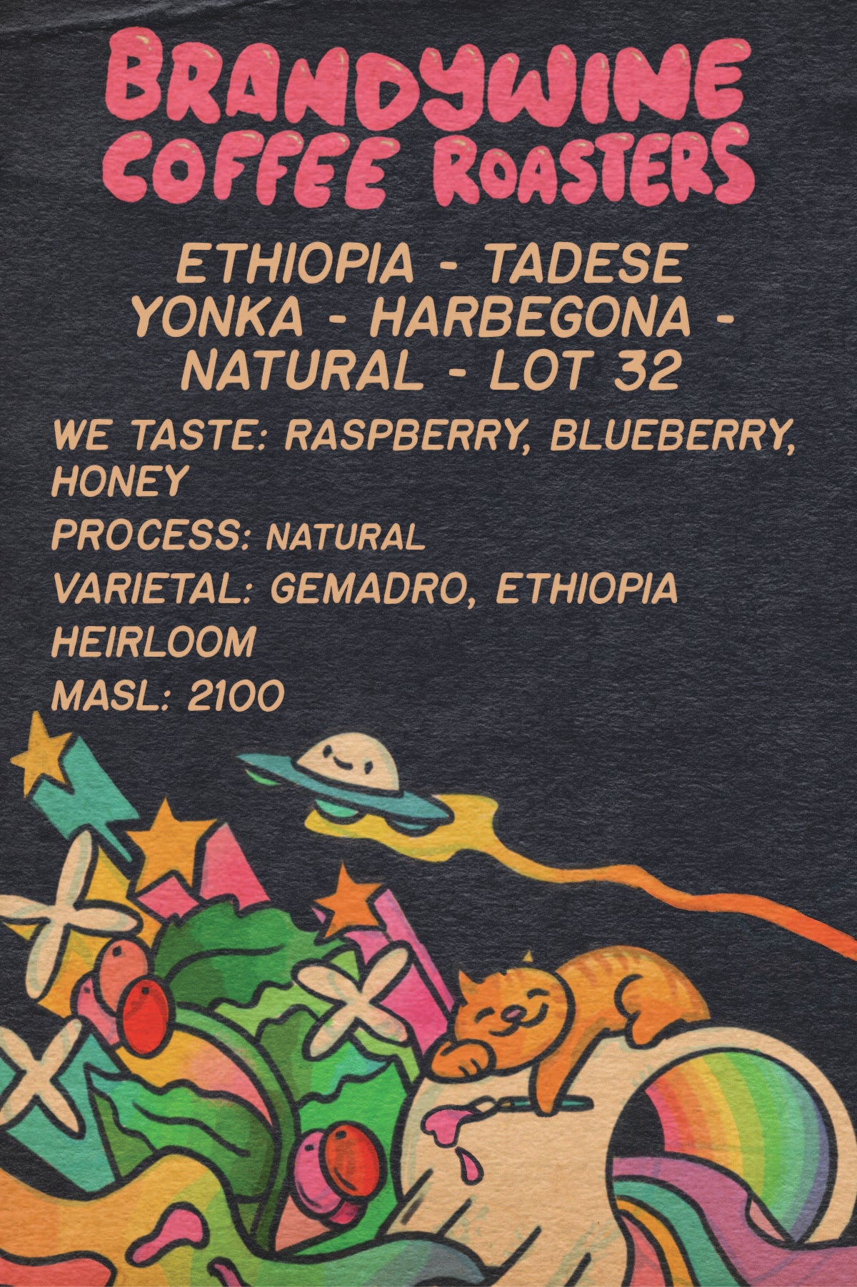 Ethiopia - Tadese Yonka - Harbegona - Natural - Lot 32